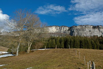 Le plateau en hiver, Parc naturel régional du Vercors, 38, Isere, Region Rhone Alpes, France