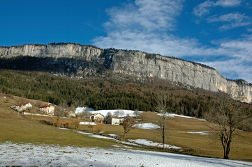 Le plateau en hiver, Parc naturel régional du Vercors, 38, Isere, Region Rhone Alpes, France