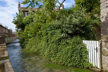 Riviére la Veules, plus petite riviére de France, Veules les Roses, 76, Normandie, Seine Maritime, France