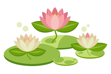 Waterlily Waterlilies vector illustration and svg