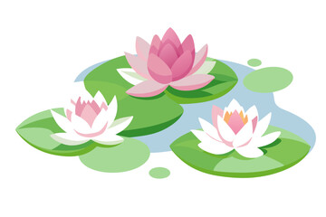 Waterlily Waterlilies vector illustration and svg