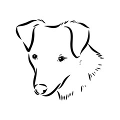 black line Alopecis the dog, vector sketch
