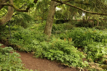 Jardin alpin au jardin des Plantes à Paris