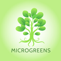 Microgreens drawn by hand. A bundle of plants.; Icon of healthy and wholesome food.
