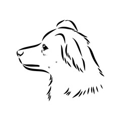 black line Alopecis the dog, vector sketch