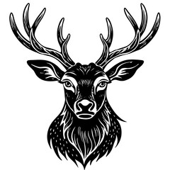 antler head, deer head illustration
