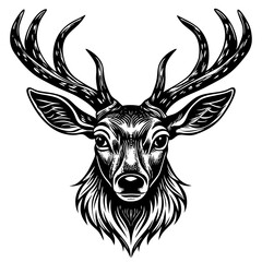 Fototapeta premium antler head, deer head illustration 