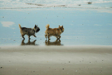 Strolling on the beach under the winter sun in New Zealand