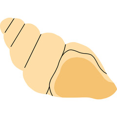 Seashell