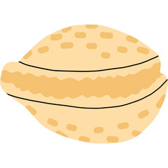 Seashell
