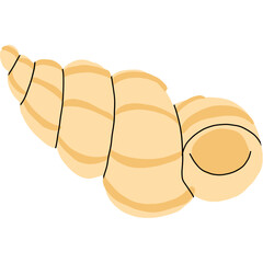 Seashell