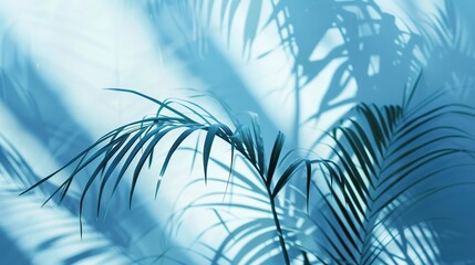 Tropical Leaf Shadows in Blue Light