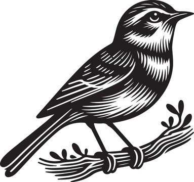 recommend clip art: Bird silhouette vector line art