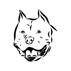 Vintage hand drawn sketch American bandog