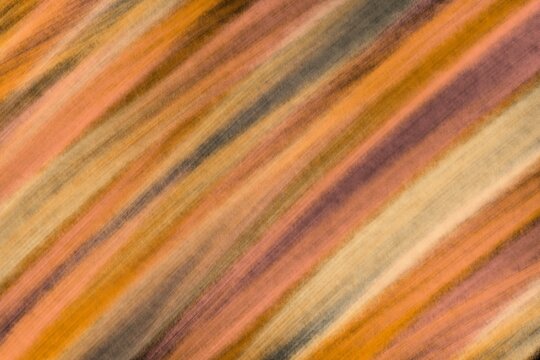 Abstract illustration blurred background with warm autumnal shades