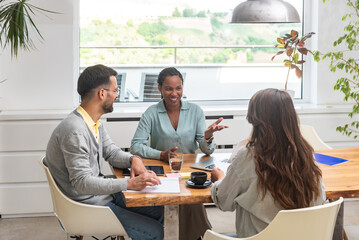 Employees of a small private company, co-owners, nature lovers, work on the architectural solution of green houses and renewable energy, in order to preserve nature and reduce harmful effects