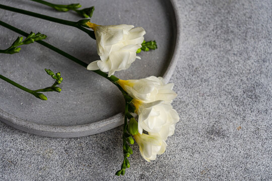 Elegant freesia flowers on a textured gray plate