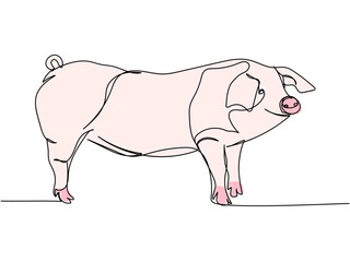 pig, wild boar, livestock, piglet one line color, colored art. Continuous line drawing of farm, nature, agriculture, farm animals, rural life, ranch.