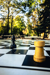 Close-up of chess pieces on an outdoor board amidst a serene park background. Ideal for themes of strategy, leisure, and nature. Perfect for various creative projects. © Interio