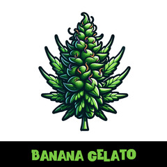 Vector Illustrated Banana Gelato Cannabis Bud Strain Cartoon