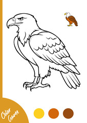 Coloring page of a majestic eagle with a color palette guide for kids