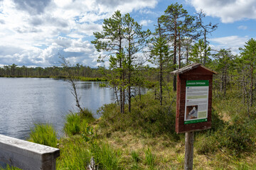 Landscape of lake and sign at Luhasoo bog in Estonia