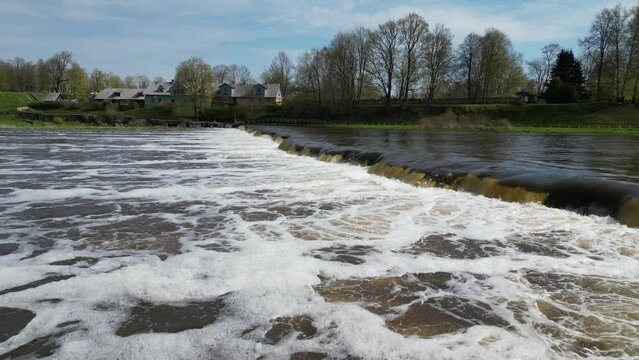 Flying along waterfall on the Venta River, Kuldiga, Latvia and Vimba (Vimba vimba) fish jumping over