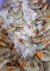 Many fresh raw shrimps close-up, pile of shrimps on ice at seafood market, tropical sea crustaceans, gourmet healthy food, sea or ocean animals.