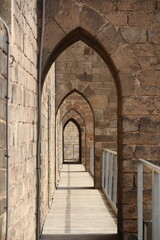 On the roof of Santa Maria Del Mar Cathedral, Barcelona, Spain.