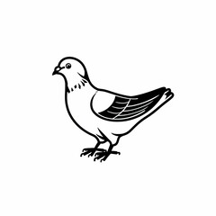 Fototapeta premium line continuous pigeon line art drawing, 