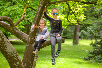 Children Sitting on Tree Branch in Park