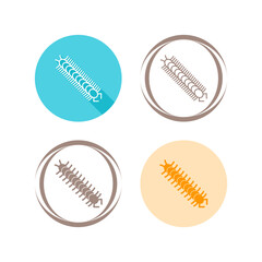 Centipede Vector Icon