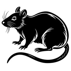 illustration of a mouse