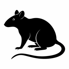 illustration of a mouse