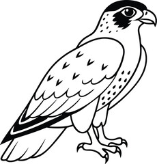 Falcon outline vector template illustration design