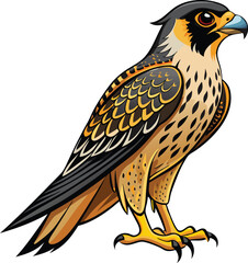Falcon full body vector template illustration design