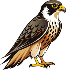 Falcon full body vector template illustration design