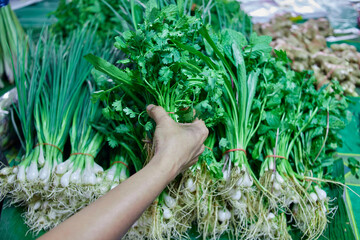 Cropped hand holding fresh vegetable at market 