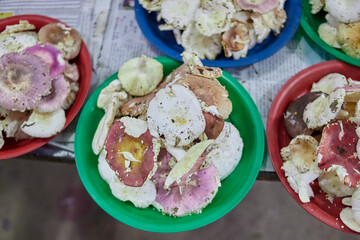 Edible tropical wild mushrooms for sale at rural market