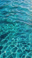 Fototapeta premium Marine Ecosystem from Above