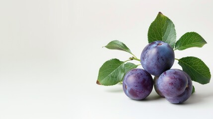 Sour greengage plum on white background with space for text