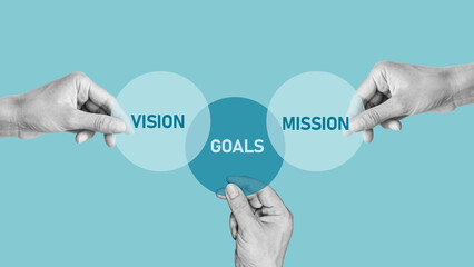 Vision, mission and goals as business strategy and action plan
