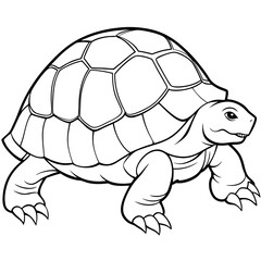 vector illustration sulcata-tortoise 