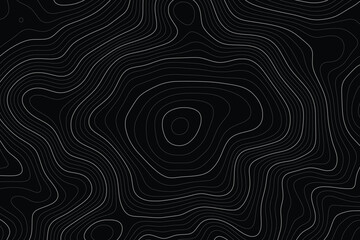 Imitation of a geographical map, white lines on black background, vector design	