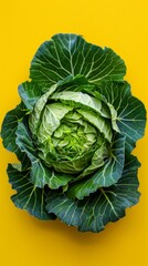 Fototapeta premium Fresh green cabbage on yellow background, healthy eating concept