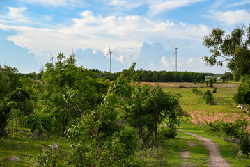 wind farm in the countryside