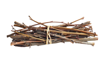 A bundle of dry sticks tied together with twine, isolated on a white background. Perfect for rustic decor, crafts, or firewood concepts.