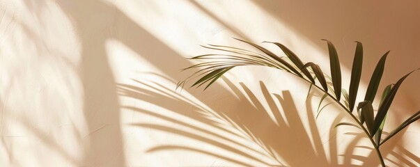 Palm leaf casting shadow on beige wall, minimalistic nature background
