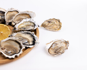 plate of fresh raw oysters isolated on white background, top view