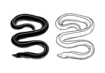 Eel silhouette vector illustration isolated on a white background 